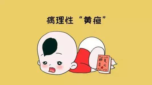关注新生儿的黄金时代